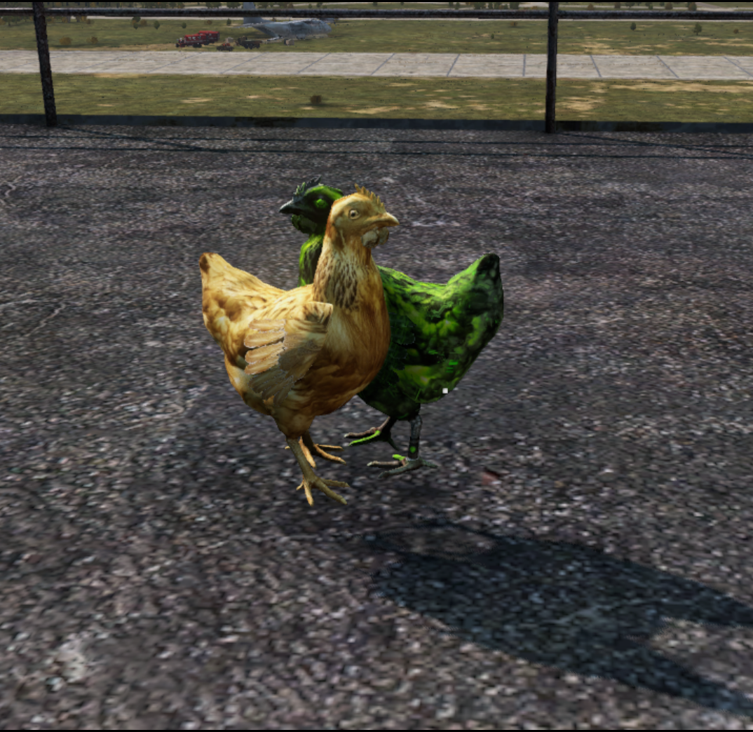 Crazy Egg & Chicken